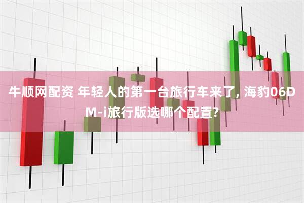 牛顺网配资 年轻人的第一台旅行车来了, 海豹06DM-i旅行版选哪个配置?