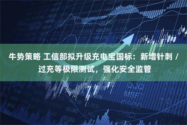 牛势策略 工信部拟升级充电宝国标：新增针刺 / 过充等极限测试，强化安全监管