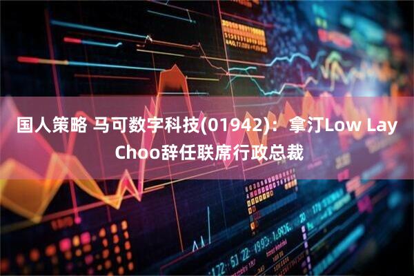 国人策略 马可数字科技(01942)：拿汀Low Lay Choo辞任联席行政总裁