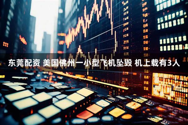 东莞配资 美国佛州一小型飞机坠毁 机上载有3人