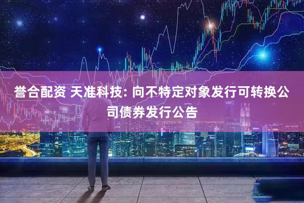 誉合配资 天准科技: 向不特定对象发行可转换公司债券发行公告